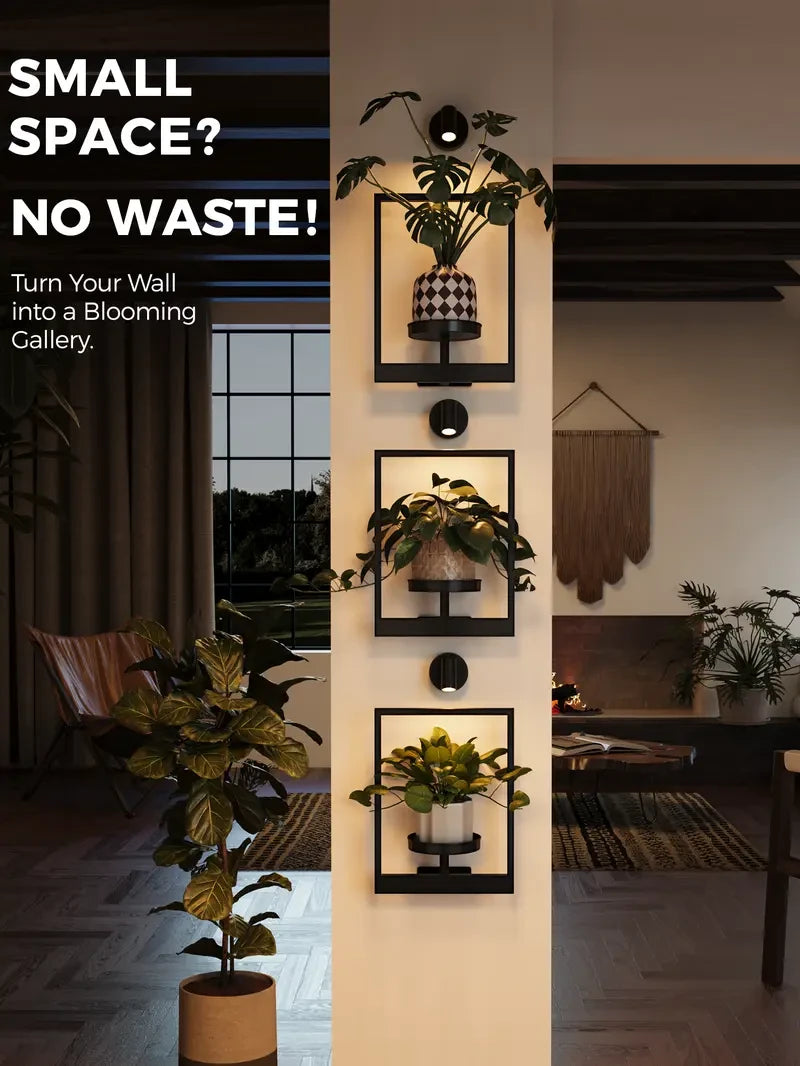 Wall Planters with Spotlights