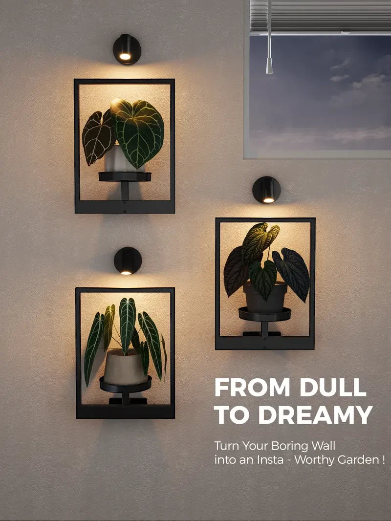 Wall Planters with Spotlights